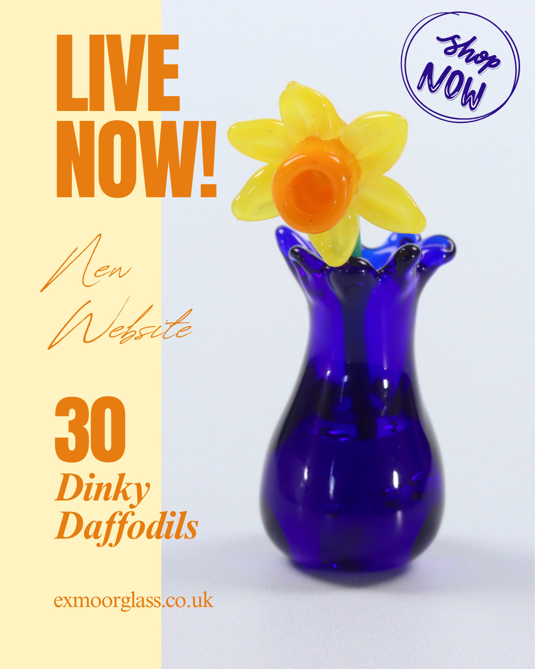 New website open