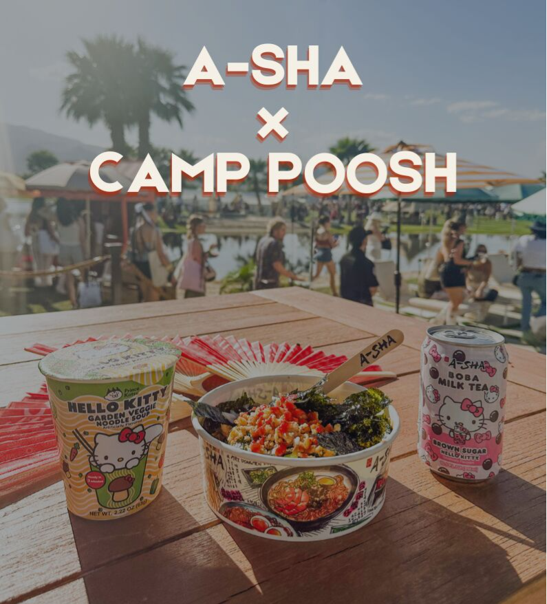 asha dry noodle camp poosh